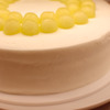 ショーケース