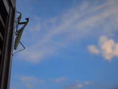 出撃、秋色の空