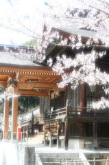 箆取の春