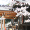 箆取の春