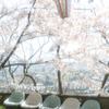 春爛漫