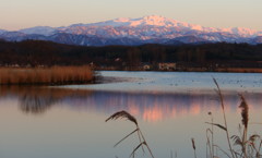 白山の夕景