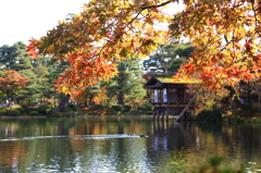 小春日和の霞ヶ池