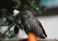 私かわいい？