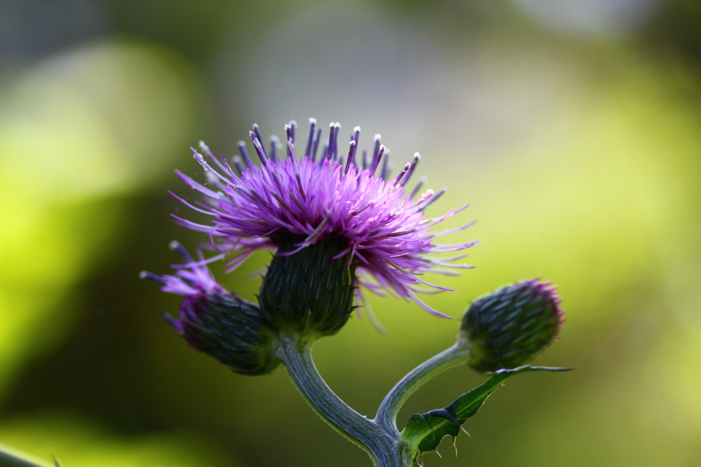 ひっそりと～～