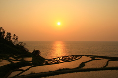 能登輪島の千枚田夕景