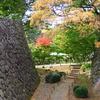 お堀も秋模様