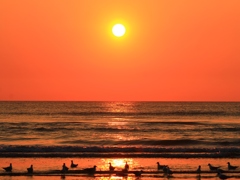 久しぶりの夕景　２