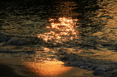 輝く海辺