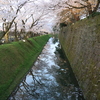 金沢城の掘辺の桜　１
