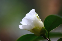 ひっそりと～～