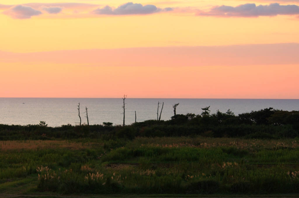 秋の夕景
