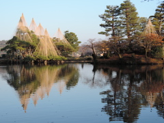 雪吊りの兼六園