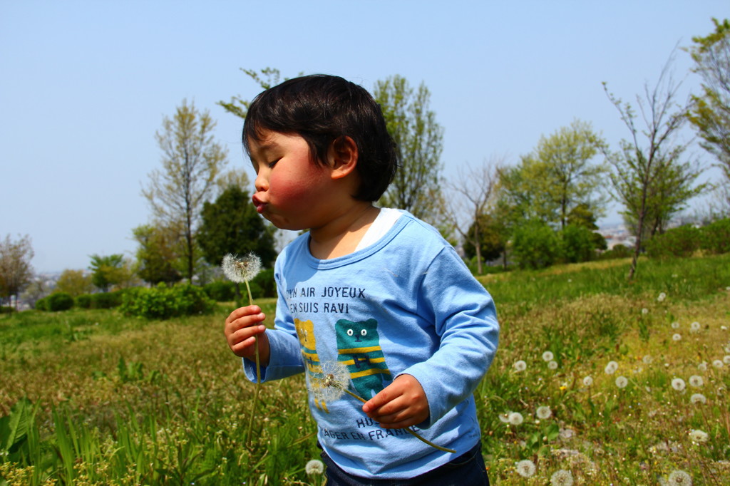 とんだ　とんだ！！