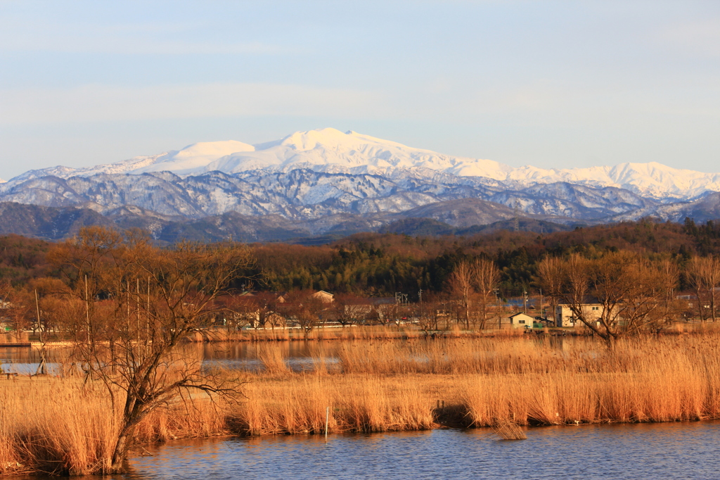 春の白山