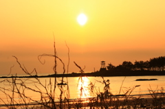 日本海夕景