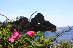 ハマナスと能登窓岩