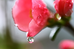 雨上がり