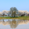 春の風景