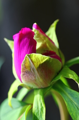 もうすぐですね～～