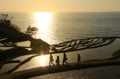 能登輪島　千枚田夕景　２