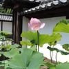建長寺の境内で