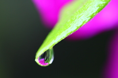 あれ？雫の中に・・