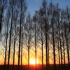 メタセの夕景