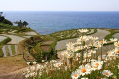 ５月の千米田