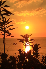 夏の海辺で