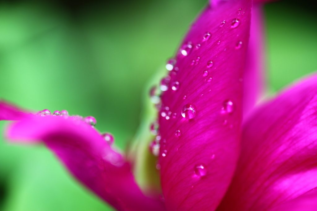 雨にうたれて～♪