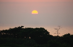 初夏の夕景