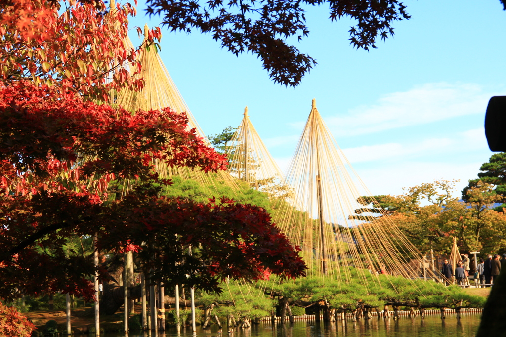 秋の兼六園