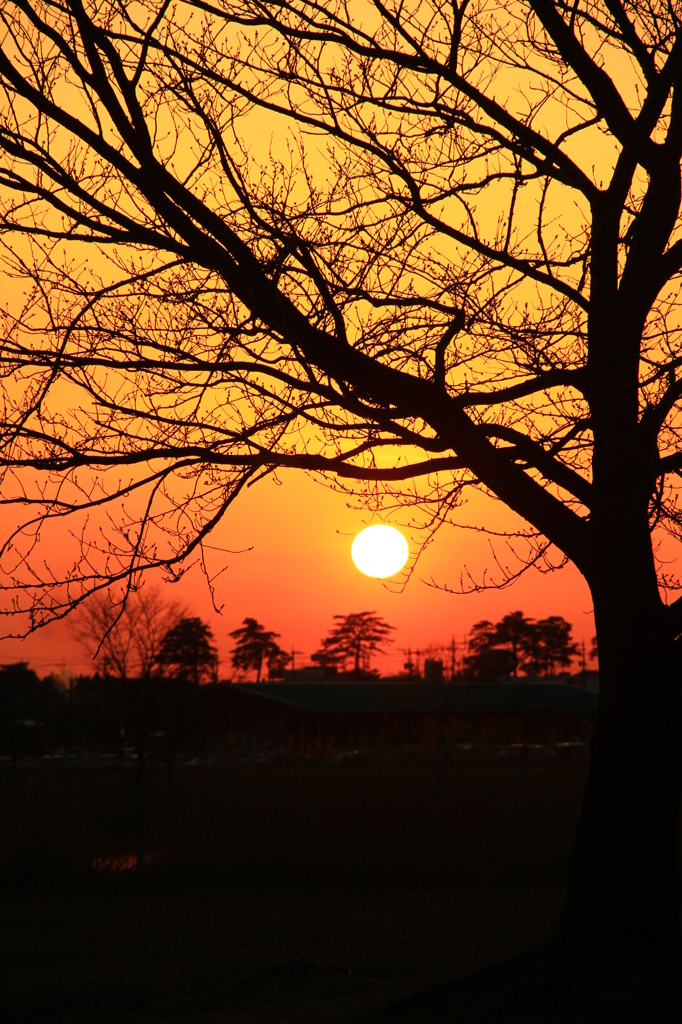 さぁ～帰りましょ！