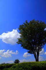 夏空