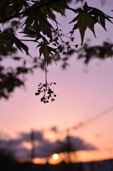 夕暮れ