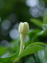 R0010129