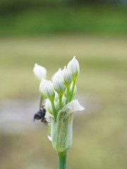 R0010109