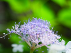 R0010354