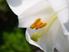 R0010377