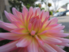 DSCN0058