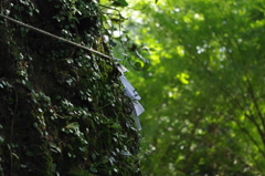 神社にて