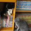 あそび