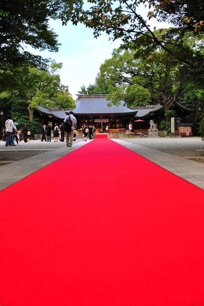 姫路護國神社