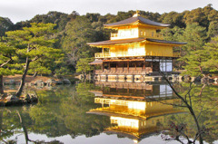 金閣寺