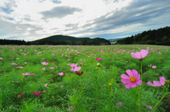 僕だけカメラ目線ｗ