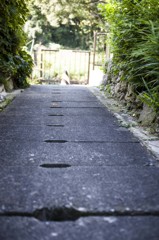 お散歩スナップ4