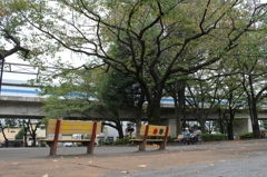 休日の公園