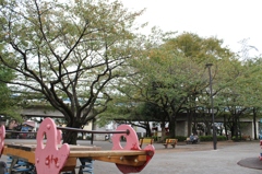休日の公園2