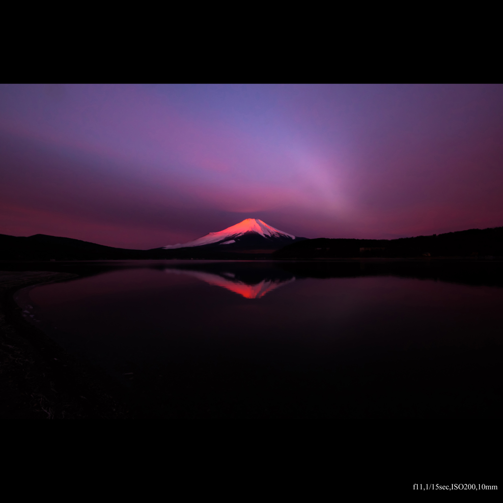 紅